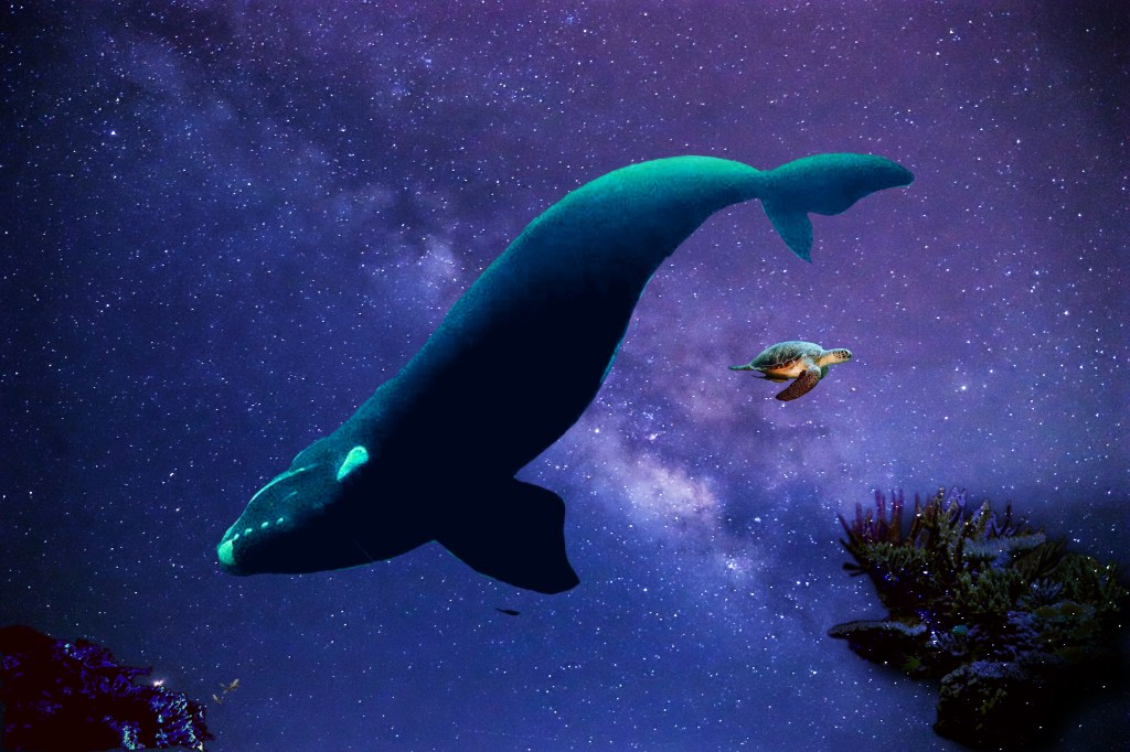 Dreaming in the Sky, Sophia Minakova, 11, Andover, Minnesota, USA