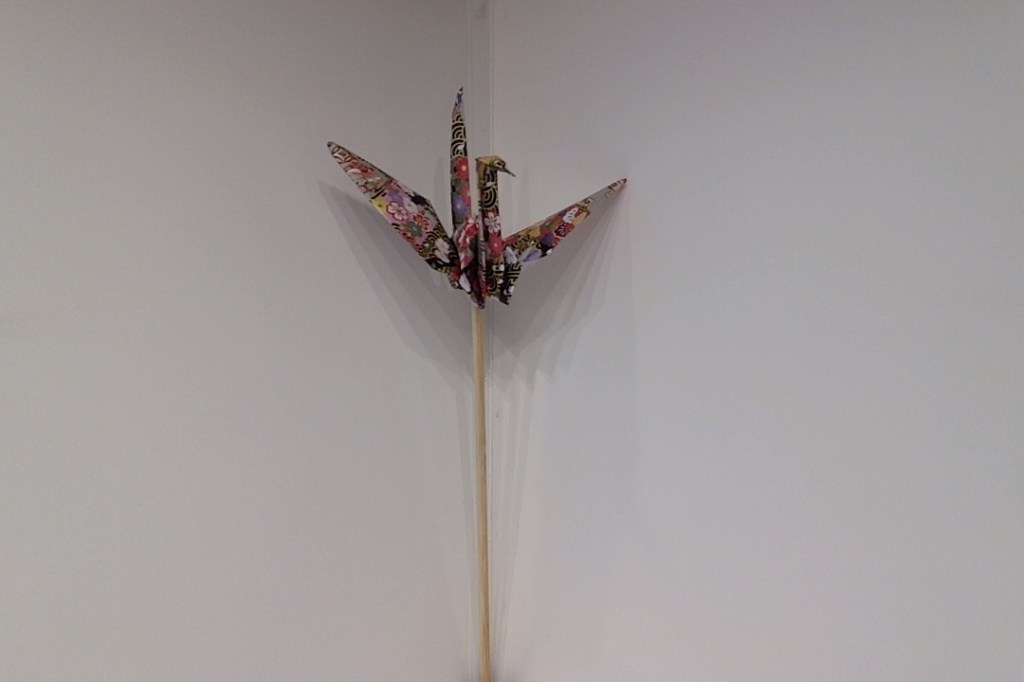 COVID Origami, Abby, 17, Seattle, USA