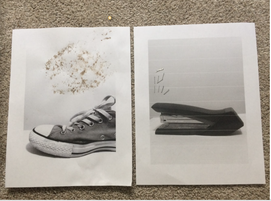 Photo by Keiran Viswanatha, 12, Seattle, WA, USA