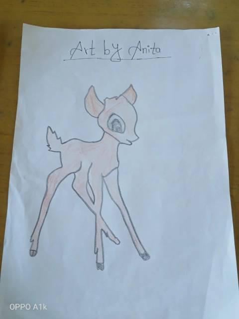 Anita Khadka, 14, Art By Children from "Children's Peace Home",  Nepal 