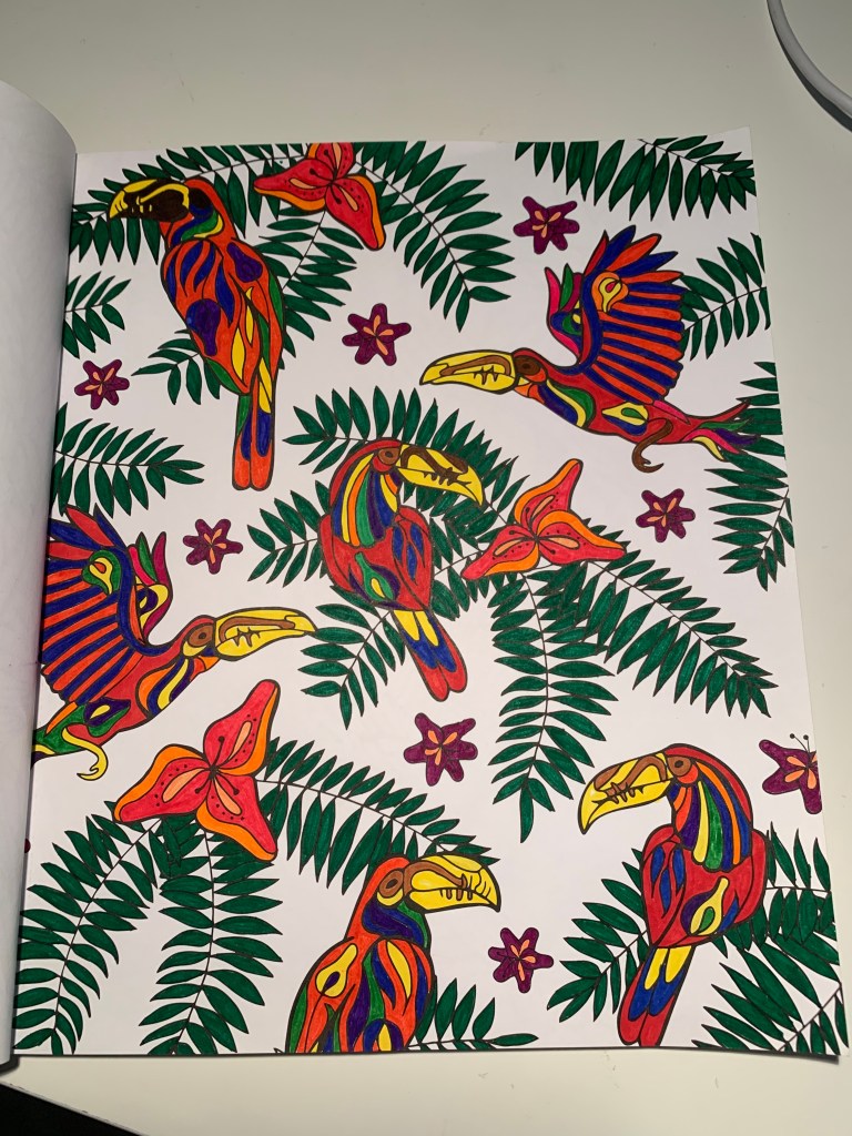 Rima Hayek, Seattle, WA, USA